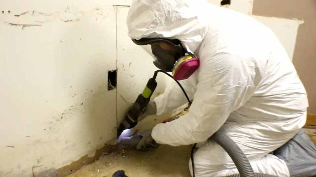 mold remediation licensing laws by state