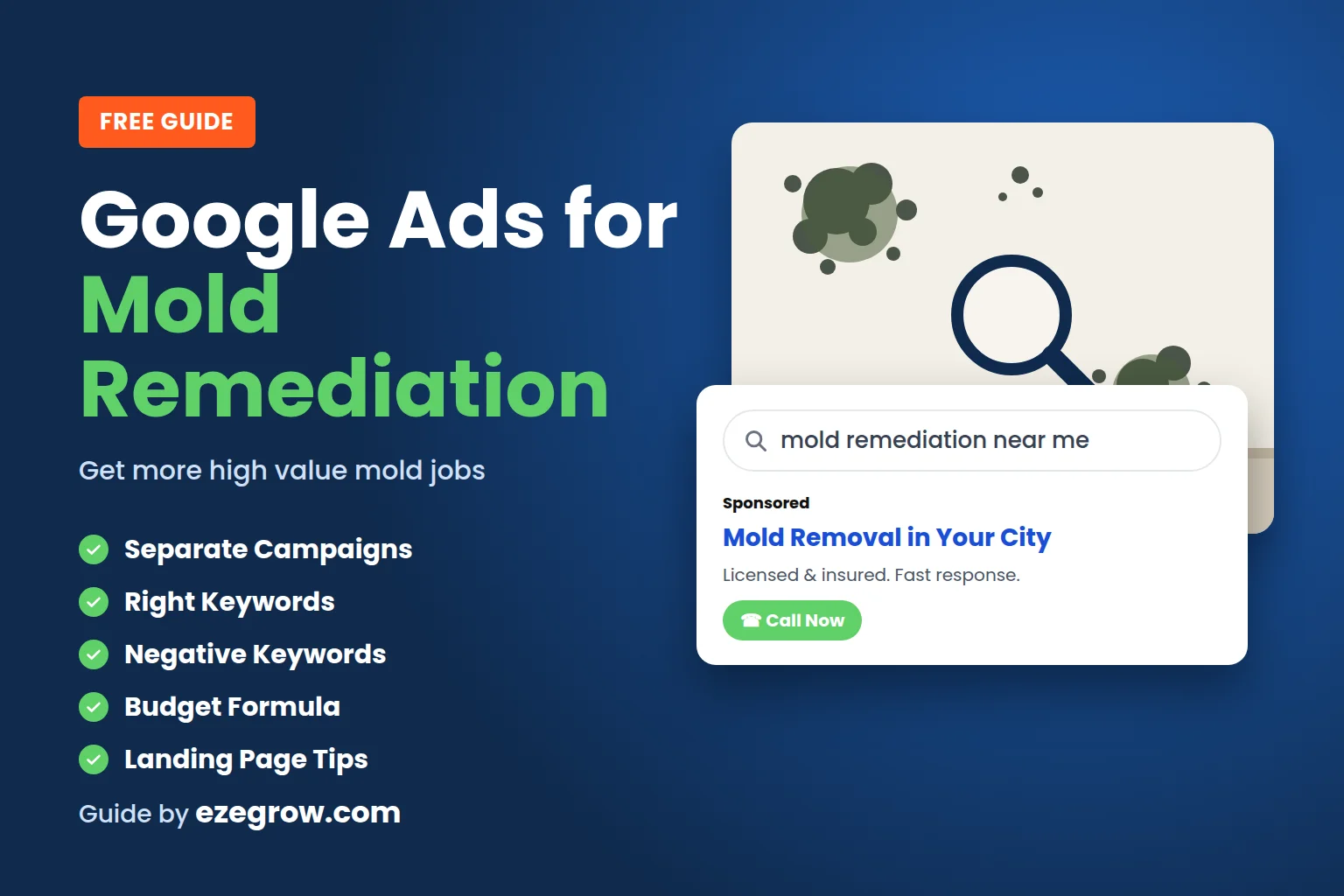 Google Ads for Mold Remediation